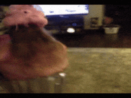 child running GIF