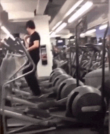 giphy.gif