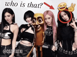 Kpop Meme Who Is That GIF