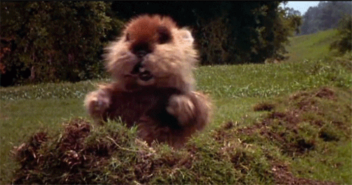 Caddyshack Gopher Gifs Get The Best Gif On Giphy