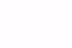 Sensirion GIF