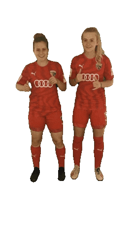 Schanzerinnen Sticker