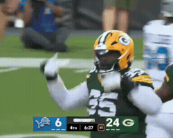 Green Bay Packers GIF