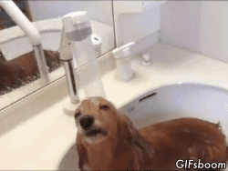 Shower Refreshing GIF