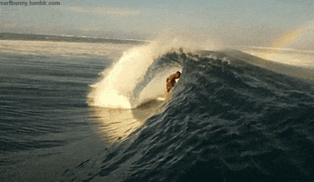 Photo gif. Scene pans left over a scene with a surfer riding under the curl of a huge wave, with a rainbow in the distance.