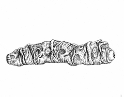 Caterpillar Body Horror GIF by Yungnagols