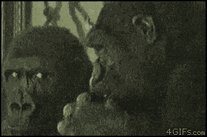 200.gif