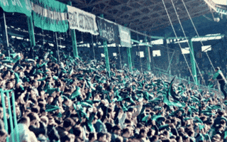 Kocaelispor GIF