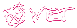 Wet Miami Sticker