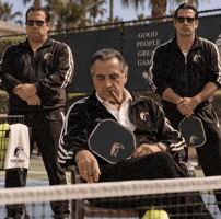 Pickleball Pickle GIF by TOCO67