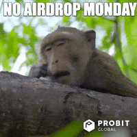 200.gif?cid=fc005b0895fed7d960bc7689ebcfee2172d0ba1748c1ebf4&rid=200.gif&ct=g