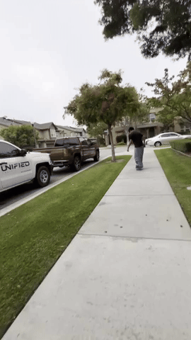 Esteb Esteb Esteb Esteb Esteb GIF