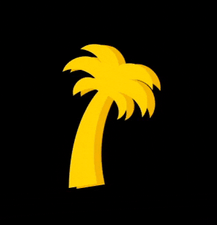 Palm Tree Summer GIF by On the Beach