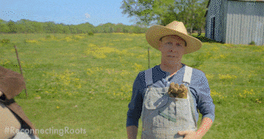 Interrupt Tv Show GIF by Reconnecting Roots