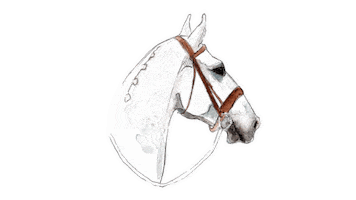 Vintage Horses Sticker by equestriess