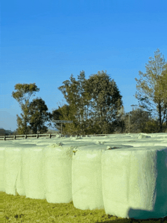Silage Plastic GIF