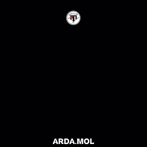 Besiktas GIF