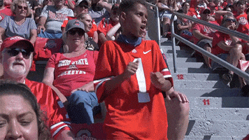 College Football Dance GIF by Ohio State Athletics