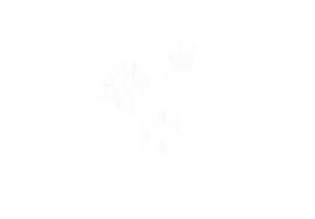 Happy Summer Sticker by RESA