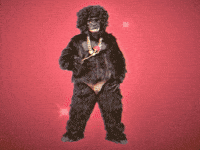we know memes gorilla gis gif