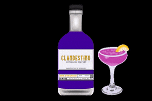 Clandestinohn GIF by Clandestino Distilling Company