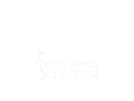 Boat Capri Sticker by Yacht Napoli Charter