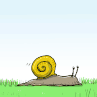 Best Snail Gifs Primo Gif Latest Animated Gifs