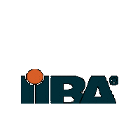 IIBA Sticker