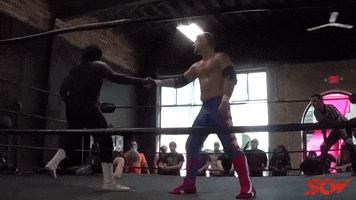 Sensei Bock GIF