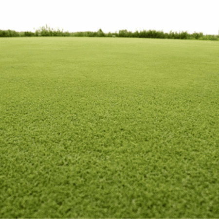 Shooting Star Stars GIF by TeaCosyFolk