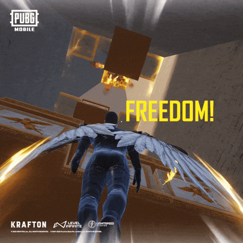 Freedom Flying GIF by Official PUBG MOBILE