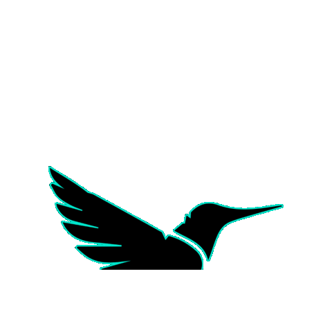 ifabird Sticker