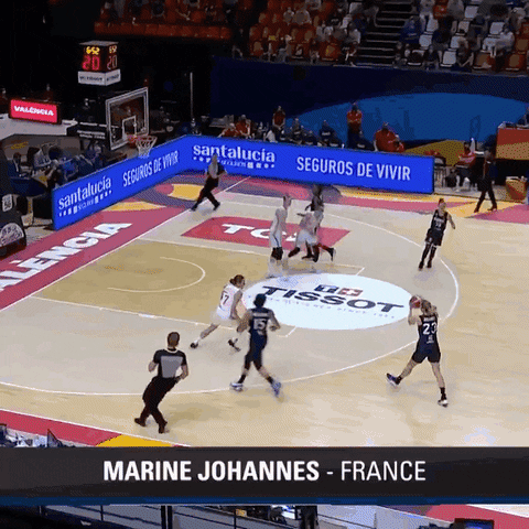 France Fiba GIF by Basketfem