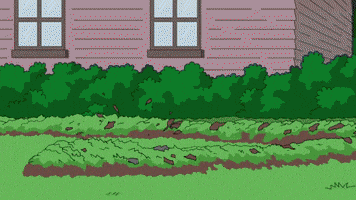 Family Guy GIF by FOX TV
