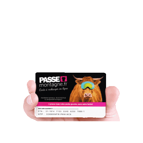 PASSE MONTAGNE Sticker