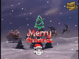 Merry Christmas Snow GIF by Zhot Shotz