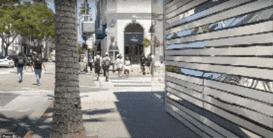 Beverly Hills GIF