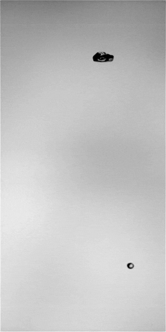 Science GIF