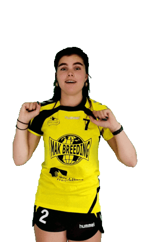 HV Geel-Zwart Sticker