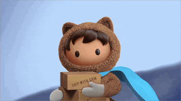 Black Friday Shopping GIF by Salesforce