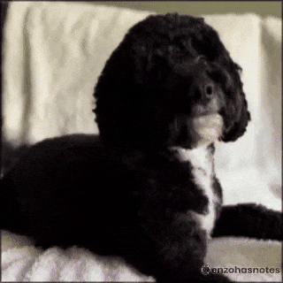 Getting Old Happy Birthday GIF