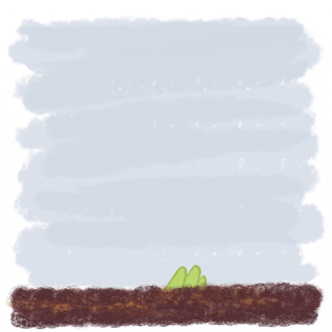 Spring GIF