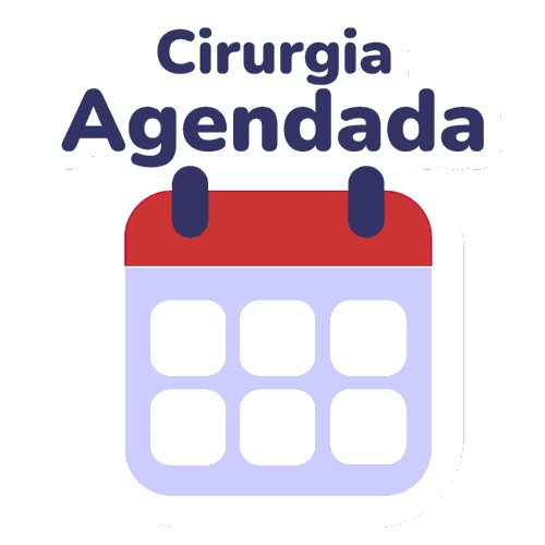 Projeto Orelhinha Sticker