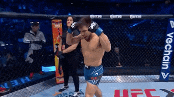 Lets Go Sport GIF by UFC