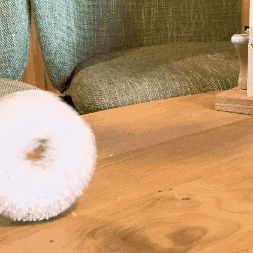 Bagel GIF by Bagels & Beans