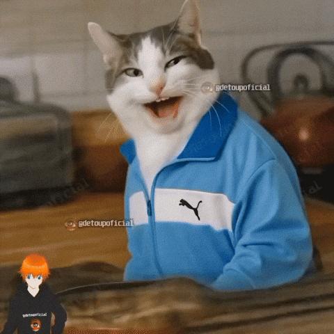 Gato GIF