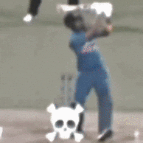 Cricket Dc GIF