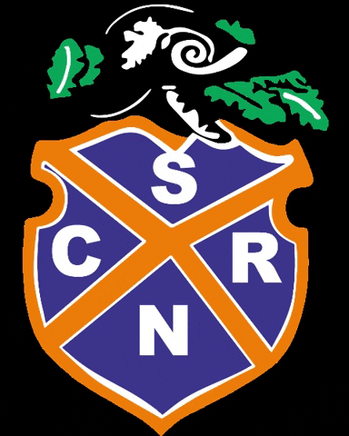 San Nicolas Soccer GIF by Liga 3G