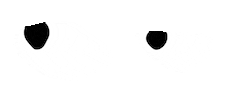 Spiced Rum Sly Eyes Sticker by SLY DOG Rum