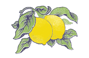 Summer Illustration Sticker by Graham and Green